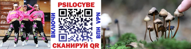 купить   Сызрань  Галлюциногенные грибы Cubensis 